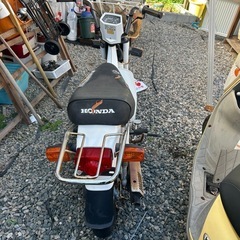 シャリー50 角目の画像