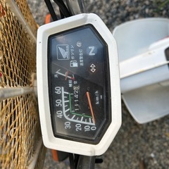 シャリー50 角目の画像