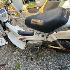 シャリー50 角目の画像