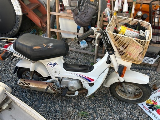 シャリー50 角目