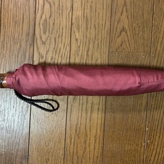 折畳傘　レディースの画像