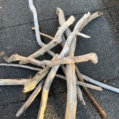 アクアリウム　流木セットの画像