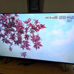 2023年2月新品購入　グリーンハウスGH-TV50AG-BK　50インチ4K Google TVの画像