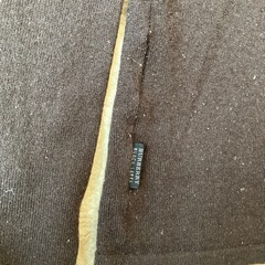 バーバリーブラックラベル　Ｍ　試着のみ の画像