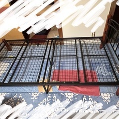 人気‼️シングルベット😊☘️の画像