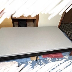 人気‼️シングルベット😊☘️の画像