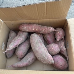 さつまいもの画像