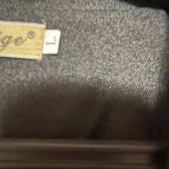 パンツスーツ黒    Lサイズの画像