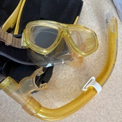シュノーケリング、フィン、マリンスポーツ　の画像