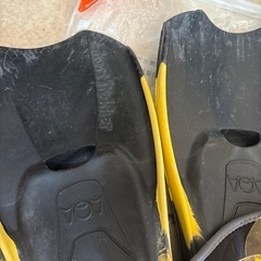 シュノーケリング、フィン、マリンスポーツ　の画像