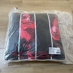 GLAY DRIVE 両面クッションの画像