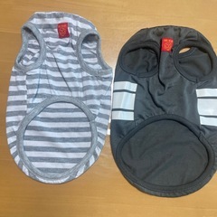 犬用服✖︎2の画像
