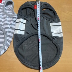 犬用服✖︎2の画像