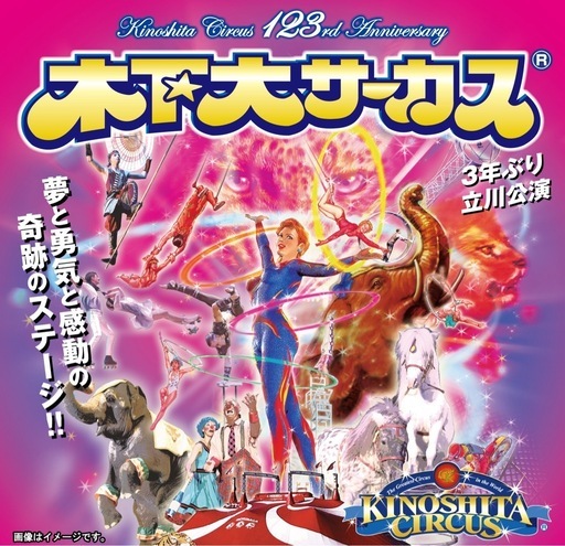 11/29指定席券4枚ロイヤルイエロー