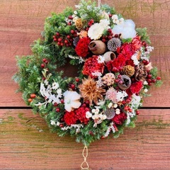 ヒムロスギ　クリスマス　お正月　しめ縄　クリスマスリース　ひむろ杉　ヒムロ杉の画像