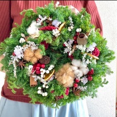 ヒムロスギ　クリスマス　お正月　しめ縄　クリスマスリース　ひむろ杉　ヒムロ杉の画像