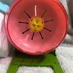 ハムスター セットの画像