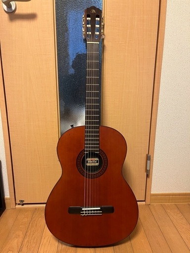 エレガット　Morris Groovin’ PA-15G