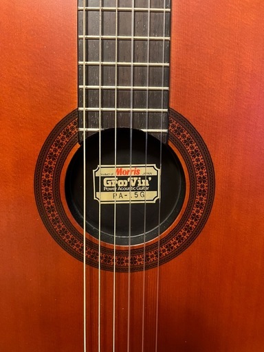 エレガット　Morris Groovin’ PA-15G
