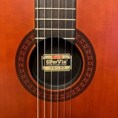 エレガット　Morris Groovin’ PA-15Gの画像