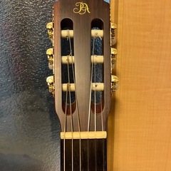 エレガット　Morris Groovin’ PA-15Gの画像