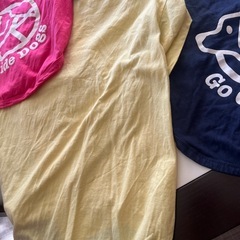 大型犬　部屋着の画像