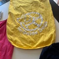 大型犬　部屋着の画像