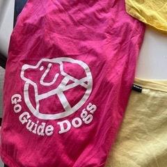 大型犬　部屋着の画像