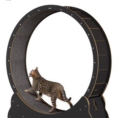 キャットホイール　ランニングホイールの画像