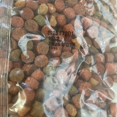 ユニチャーム　愛犬元気　　10歳　　　　ドックフード800gの画像