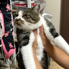 取り残された息子　ブサかわ