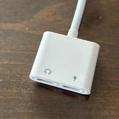 iPhone 変換アダプタの画像