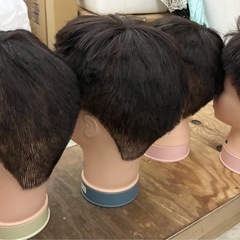 カットウィッグ　7体の画像