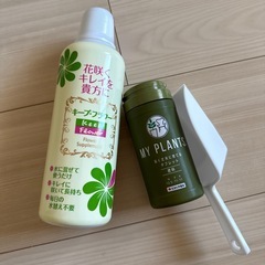 観葉植物(ポトス)台付の画像