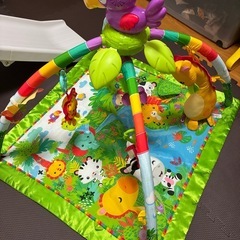 フィッシャープライス　レインフォレスト・デラックスジムIIの画像