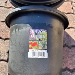 菊鉢7号 6個の画像