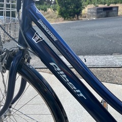 自転車アルベルトの画像