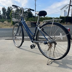 自転車アルベルトの画像