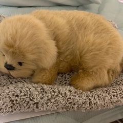 犬のぬいぐるみの画像