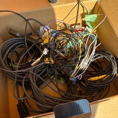 バックカメラの画像