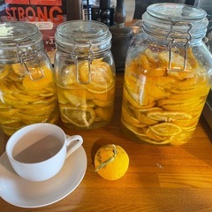 本日収穫の大きめ柚子🍊の画像