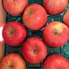 讃岐早生みかん1箱の画像