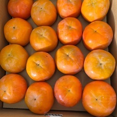 讃岐早生みかん1箱の画像