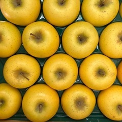 讃岐早生みかん1箱の画像