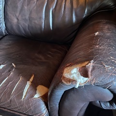 Laura Ashley ローラアシュレイ MORTIMER 2人掛けソファ 英国  の画像