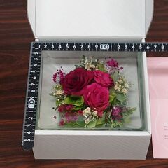 プリザーブドフラワー　　ドライフラワー　　～花が最も綺麗な瞬間をガラスに閉じ込めたドライフラワーギフト～の画像
