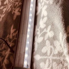 水槽　LEDライト　　30cmの画像