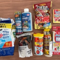 金魚の水槽　縦26センチ　横52センチ　高さ30センチの画像