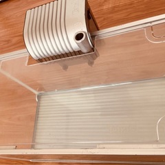 金魚の水槽　縦26センチ　横52センチ　高さ30センチの画像