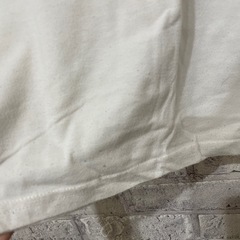 Ed Hardy Tシャツの画像